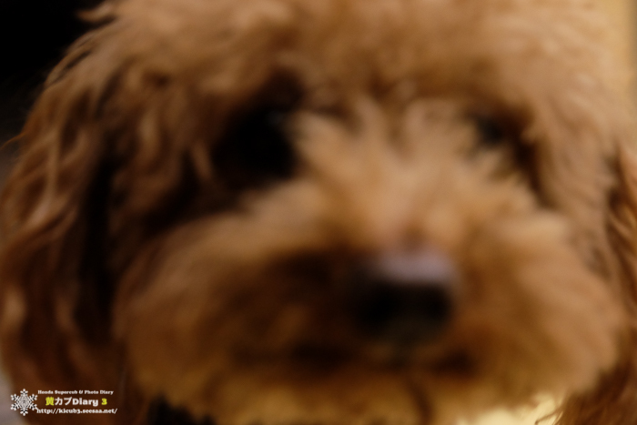 20150321-DSCF2369.jpg