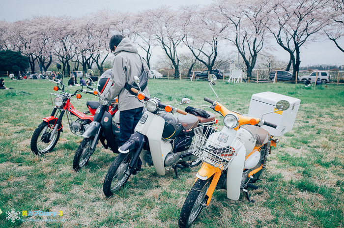 20160403-M0013598.jpg
