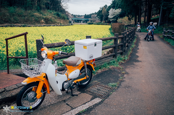 20160403-M0013701.jpg