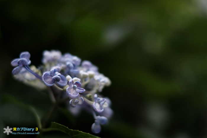 20160615-DSCF3161.jpg