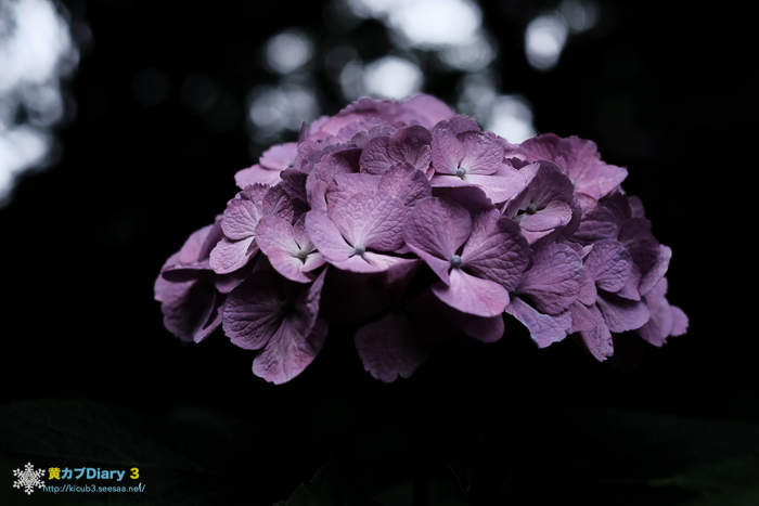 20160615-DSCF3176.jpg