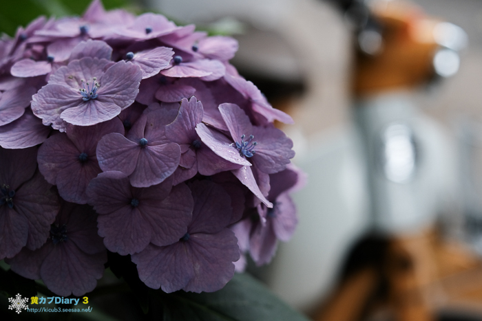 20160615-DSCF3184.jpg