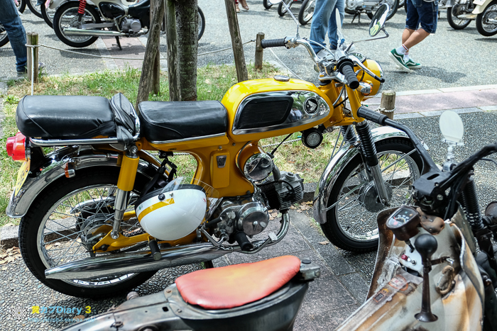 DSCF5057-7.jpg