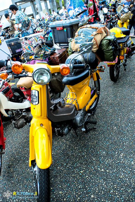 DSCF5074-8.jpg
