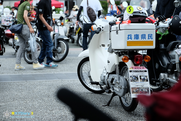 DSCF5097-1.jpg