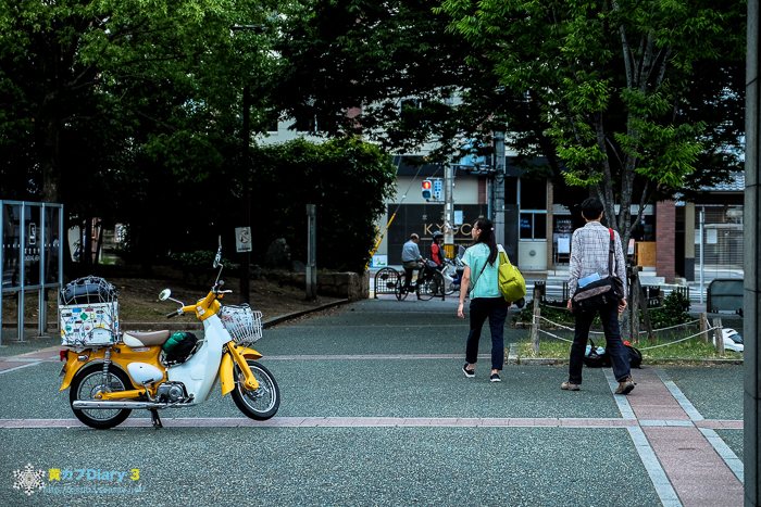 DSCF5101-1.jpg