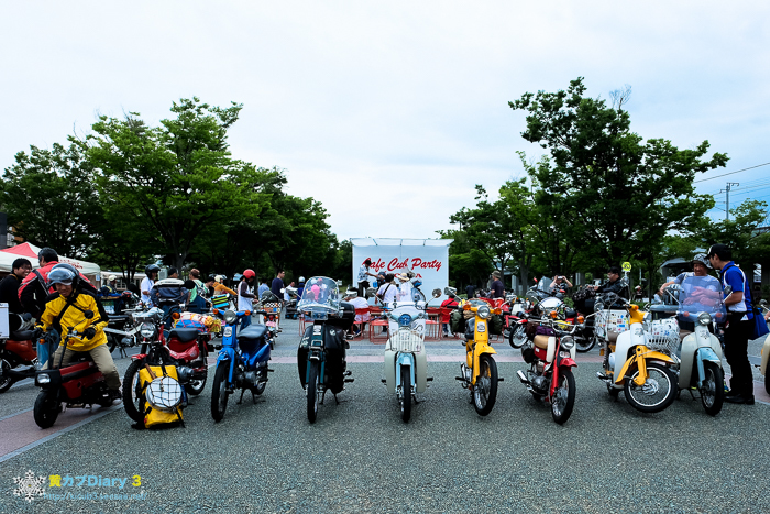 DSCF5104-1.jpg