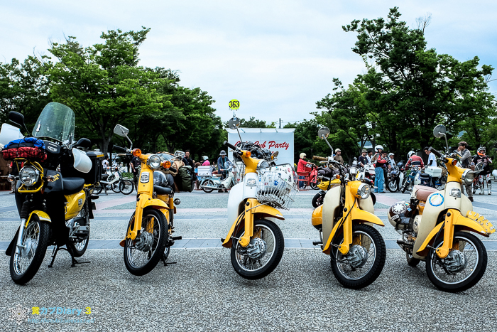 DSCF5105-1.jpg