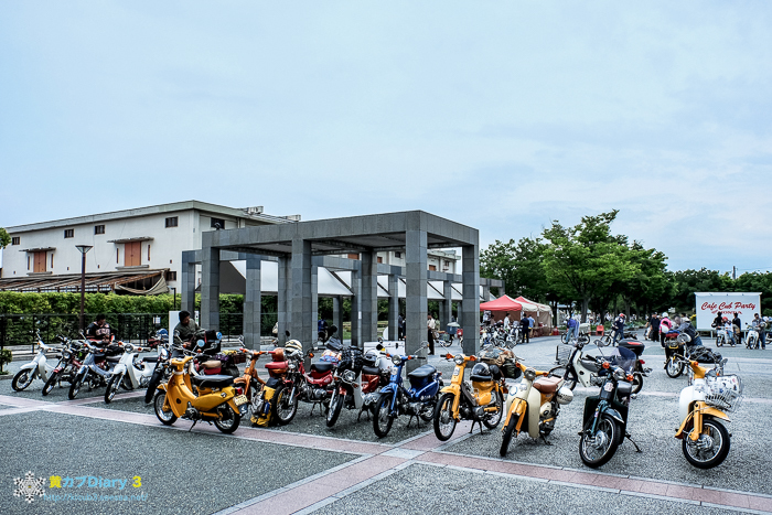 DSCF5115-1.jpg