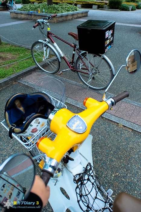 DSCF5119-1.jpg