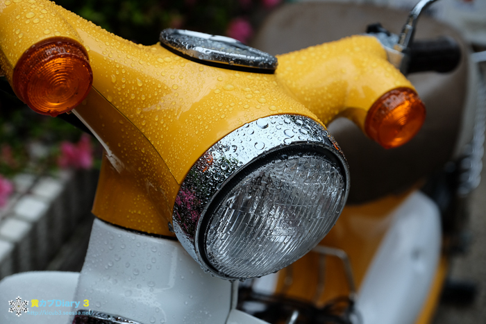 DSCF5174-2.jpg