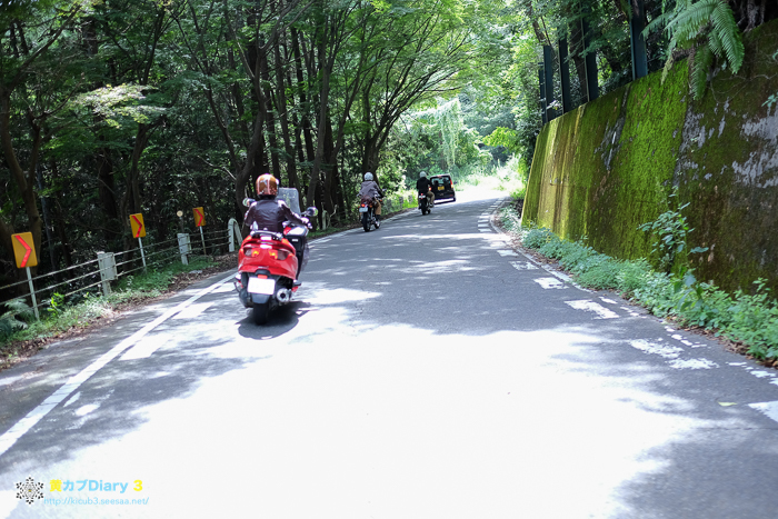 DSCF6135-9.jpg