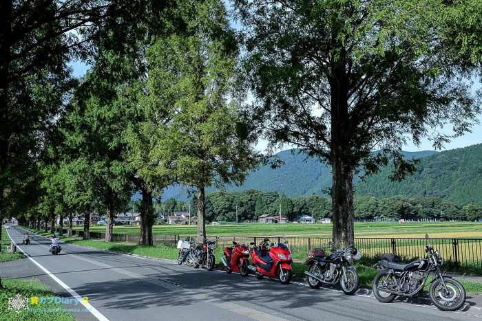 DSCF6161-1.jpg