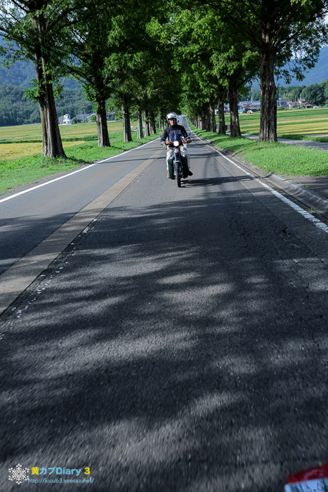 DSCF6174-18.jpg
