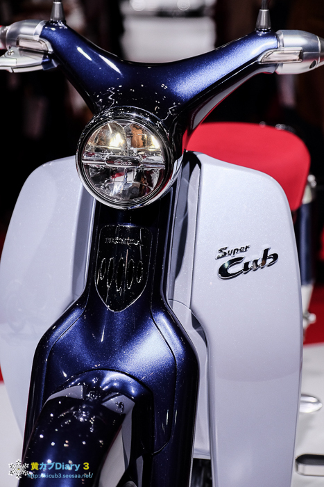 DSCF9177-1.jpg