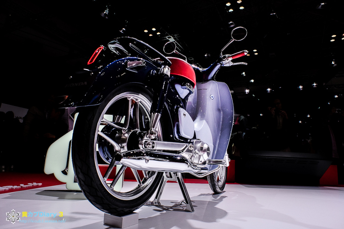 DSCF9188-1.jpg