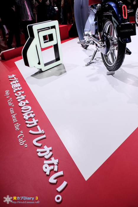 DSCF9190-1.jpg